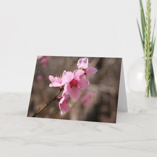 開くツツジ サンキューカード (正面)