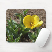 開けられた黄色いラッパスイセン マウスパッド (マウス)