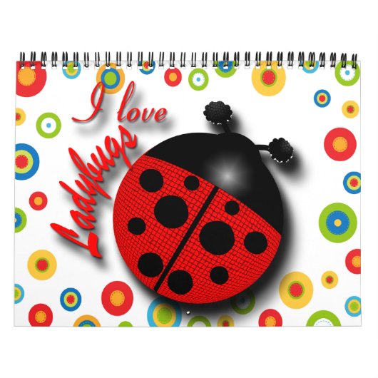 開始日の選択 カレンダー (カバー)