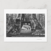 開拓者の小屋と馬に乗った男たちの図 ポストカード (正面)