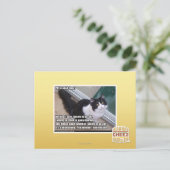 開放されたへのPlz ポストカード (スタンド正面)