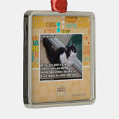 開放されたへのPlz メタルオーナメント (右)