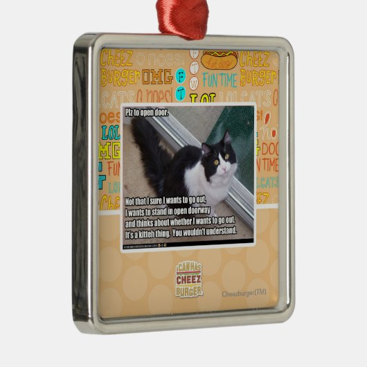 開放されたへのPlz メタルオーナメント (右)