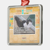 開放されたへのPlz メタルオーナメント (左)