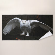 開放翼フクロウ