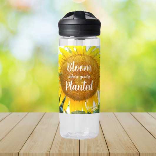 開花あなたは植えた黄色のひまわり ウォーターボトル