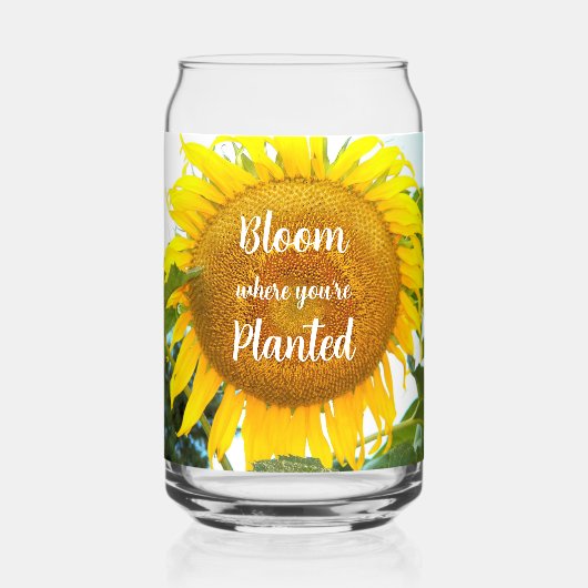 開花あなたは植えた黄色のひまわり ガラス缶 (正面)