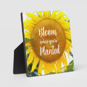 開花あなたは植えた黄色のひまわり フォトプラーク (正面)