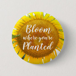 開花あなたは植えた黄色のひまわり 缶バッジ