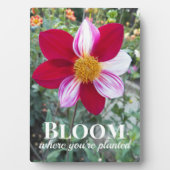 開花あなたは植栽引用文フローラ フォトプラーク (正面)