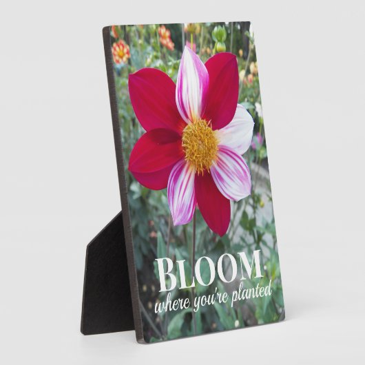 開花あなたは植栽引用文フローラ フォトプラーク (側面)