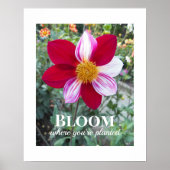 開花あなたは植栽引用文フローラ ポスター (正面)
