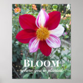 開花あなたは植栽引用文フローラ ポスター (正面)