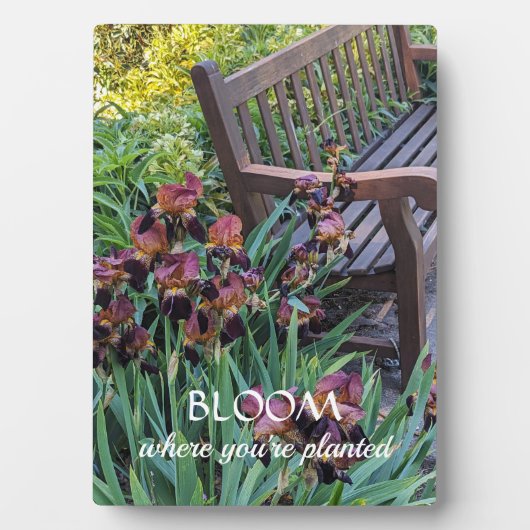 開花あなたは虹彩を用いて引用文を植えた場合 フォトプラーク (正面)