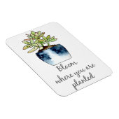 開花が多肉磁石を植えられている場所 マグネット (右側)