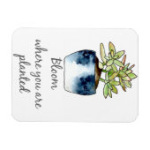 開花が多肉磁石を植えられている場所 マグネット (横)