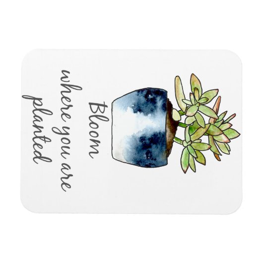 開花が多肉磁石を植えられている場所 マグネット (横)