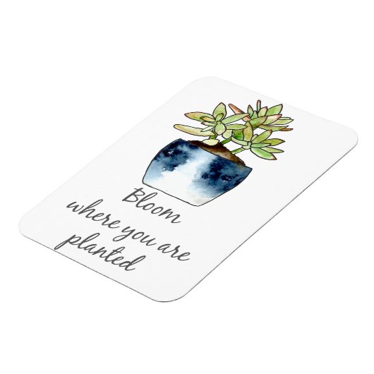 開花が多肉磁石を植えられている場所 マグネット (左側)