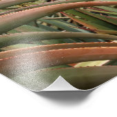 開花が大 フォトプリント            (角)