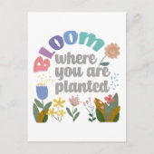 開花が植えられた場所 ポストカード (正面)