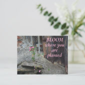 開花が植えられているピンクのフローラ ポストカード (スタンド正面)