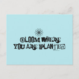 開花が植えられている場所 ポストカード