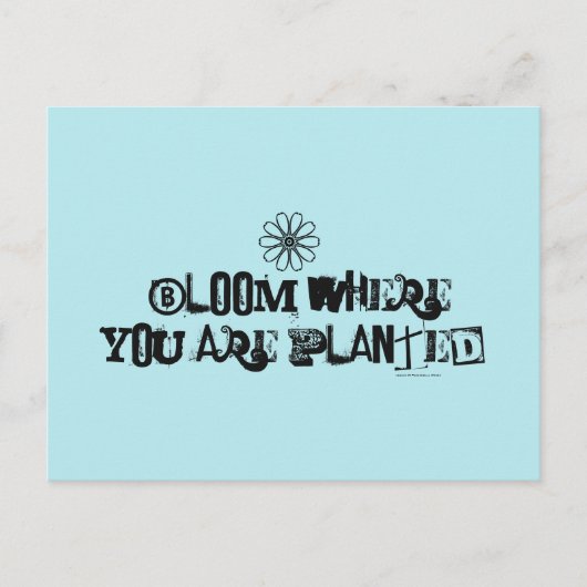 開花が植えられている場所 ポストカード (正面)