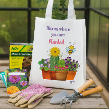 開花が植えられている場所/花園