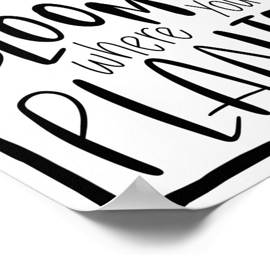 開花が植えられている場所 – Sunflower Art引用文 ポスター (角)