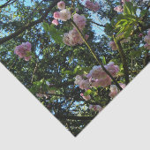 開花さくらんぼツリーブロッサム自然、ティッシュペーパー 薄葉紙 (詳細)