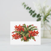開花した赤いクリスマスカクタス植物 ポストカード (スタンド正面)