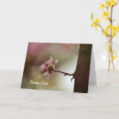 開花する木 カード (黄色い花)