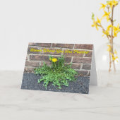 開花で植えられるダンデリオンの写真 カード (黄色い花)