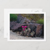 "開花で置き去りにされて" ポストカード (正面/裏面)