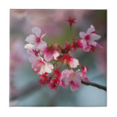 開花のさくらんぼ タイル (正面)