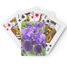 開花のアイリス