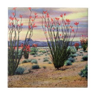 開花のアリゾナの砂漠のOcotillos タイル