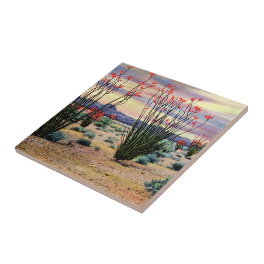 開花のアリゾナの砂漠のOcotillos タイル (側面)