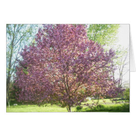 開花のカニりんごの木