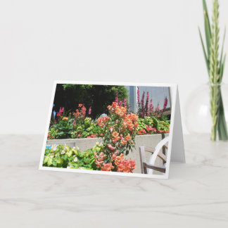 開花のサケ カード