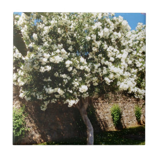 開花のジャスミンの木 タイル