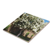 開花のジャスミンの木 タイル (側面)