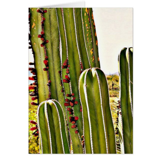 開花のストーブの管 (正面)