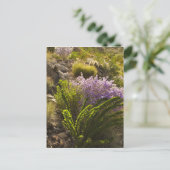 開花のチワワン砂漠の植物 ポストカード (スタンド正面)