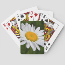 開花のデイジー