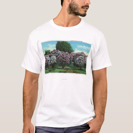 開花のハイランドパークのライラック Tシャツ (正面)