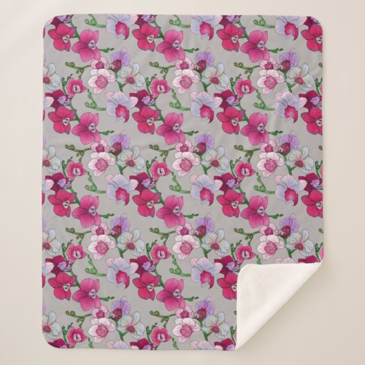 開花のピンクの蘭 シェルパブランケット (正面)