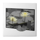 開花の枠を超える タイル (正面)