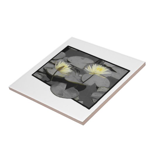 開花の枠を超える タイル (側面)