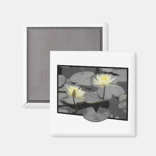 開花の枠を超える マグネット (正面/裏面)